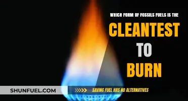 Cleanest Fossil Fuel: Comparing Emissions and Environmental Impact