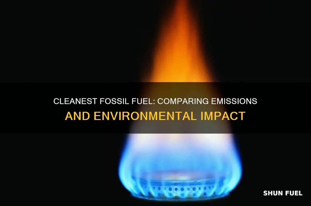 which form of fossils fuels is the cleantest to burn
