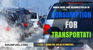 Transportation's Overwhelming Reliance on Fossil Fuel