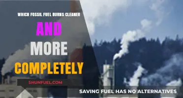 Cleaner Combustion: Comparing Fossil Fuels for Efficiency and Emissions