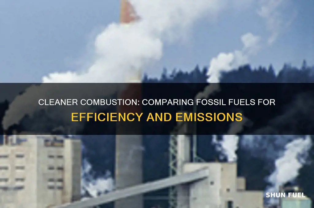 which fossil fuel burns cleaner and more completely