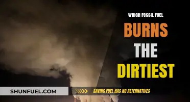 The Dirtiest Burner: Ranking Fossil Fuels by Emissions Impact