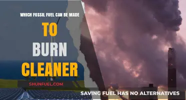 Cleaner Burning Fossil Fuels: Which One Leads the Way?