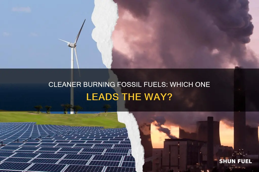 which fossil fuel can be made to burn cleaner