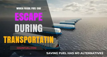 Transportation Risks: Which Fossil Fuel Escapes During Transit?