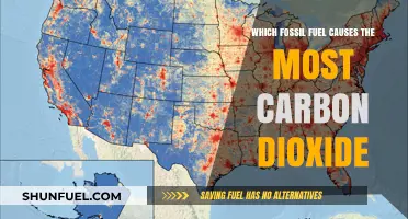 Coal vs. Oil vs. Gas: Which Fossil Fuel Emits the Most CO2?