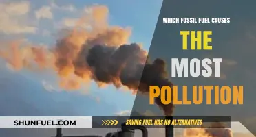 Coal vs. Oil vs. Gas: Which Fossil Fuel Pollutes the Most?