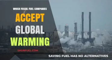 Fossil Fuel Giants Acknowledging Climate Change: Who's Taking Responsibility?