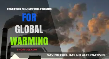 Fossil Fuel Giants Adapt: Strategies for a Warming World