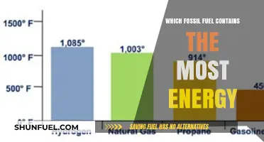 Comparing Fossil Fuels: Which Energy Source Packs the Most Power?