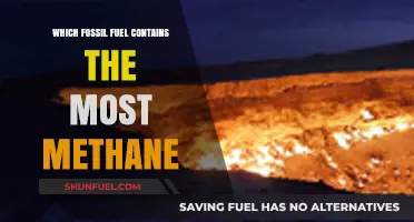 Methane-Rich Fossil Fuels: Identifying the Top Methane-Containing Energy Source