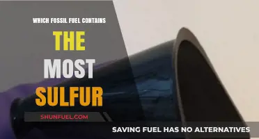 Sulfur Content in Fossil Fuels: Which One Tops the List?