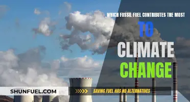 Climate Change Culprit: Fossil Fuel's Major Player