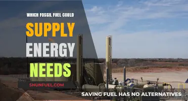 Sustainable Energy: Which Fossil Fuel Could Meet Global Demands?