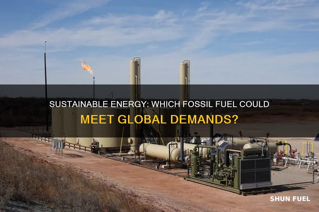 which fossil fuel could supply energy needs
