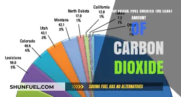 Comparing Fossil Fuels: Which Emits the Least Carbon Dioxide?