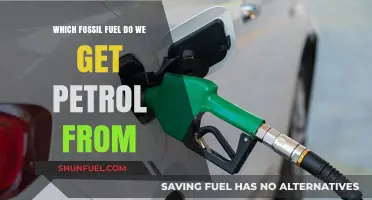 Petrol's Origin: The Fossil Fuel Source Explained Simply