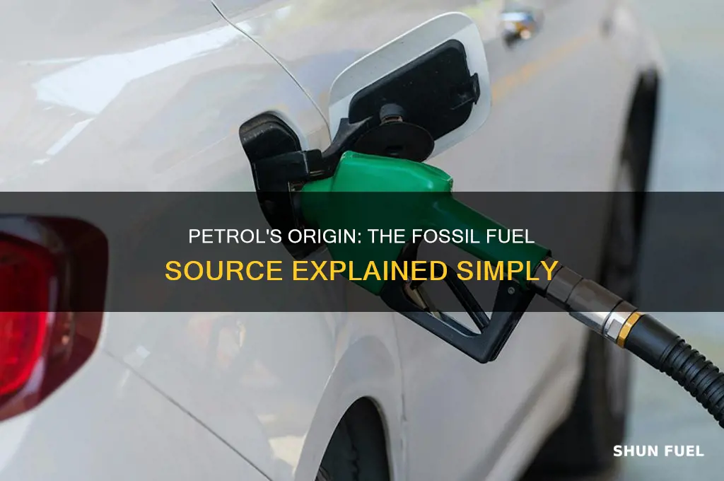 which fossil fuel do we get petrol from