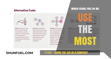 The Dominant Fossil Fuel: Uncovering Our Primary Energy Source