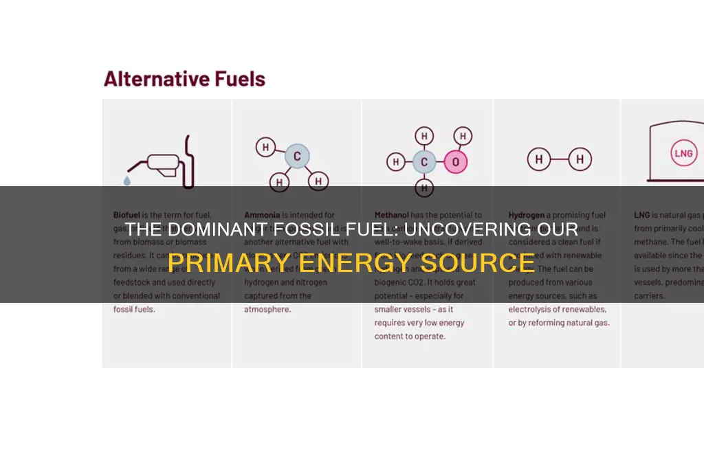 which fossil fuel do we use the most