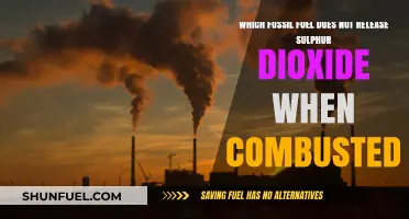 Clean Combustion: The Fossil Fuel Free from Sulphur Dioxide Emissions