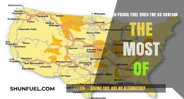 America's Abundant Energy: The Dominant Fossil Fuel in the U.S