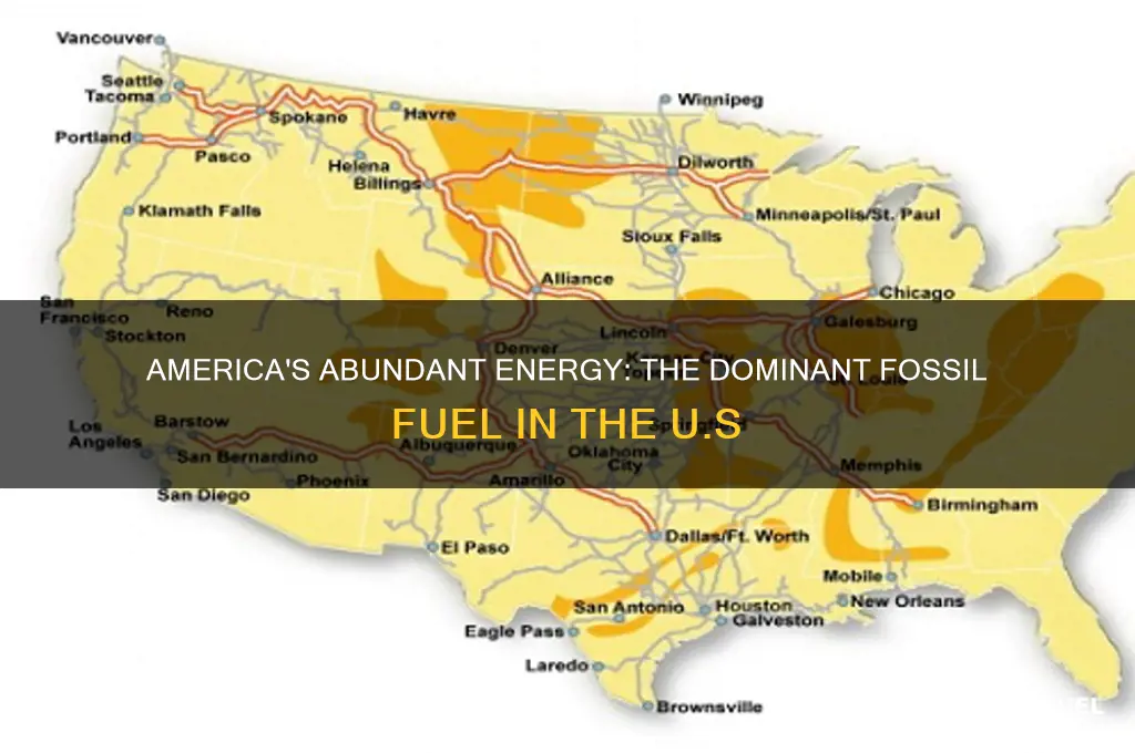 which fossil fuel does the us contain the most of