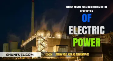 Coal's Dominance: The Leading Fossil Fuel in Power Generation