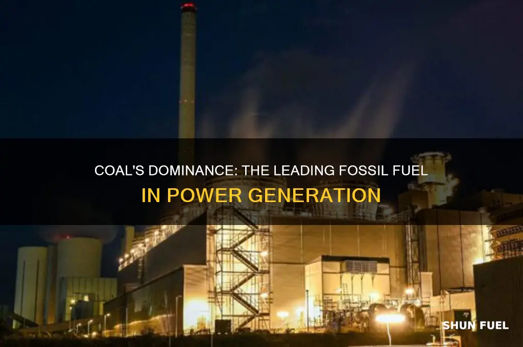 which fossil fuel dominates in the generation of electric power