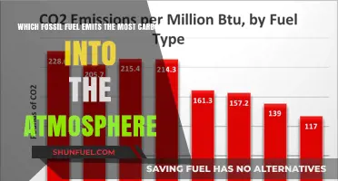 Coal's Carbon Footprint: The Worst Fossil Fuel Offender