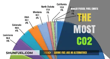 Comparing Fossil Fuels: Which One Produces the Highest CO2 Emissions?