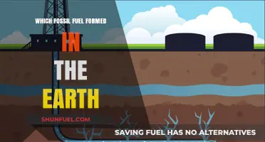 How Earth's Fossil Fuels Formed: A Journey Through Time and Pressure