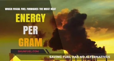 Which Fossil Fuel Provides the Highest Heat Energy per Gram?