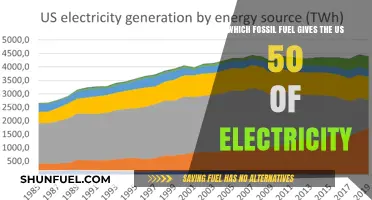 Coal Dominates: The Fossil Fuel Powering Half of US Electricity