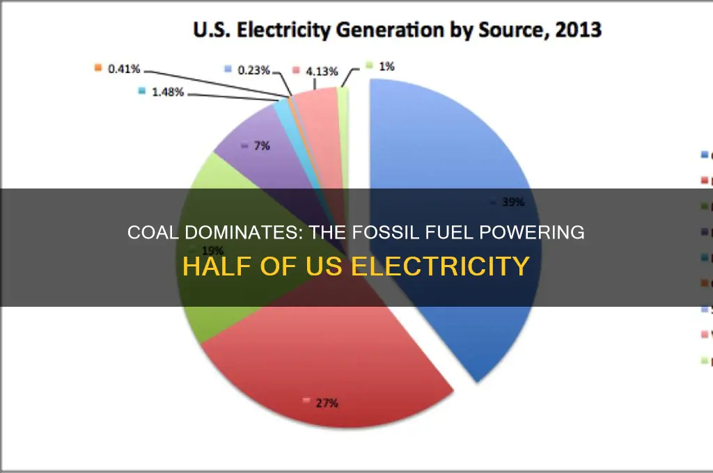 which fossil fuel gives the us 50 of electricity