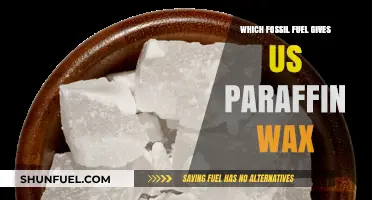 Unveiling the Fossil Fuel Source of Paraffin Wax: A Comprehensive Guide