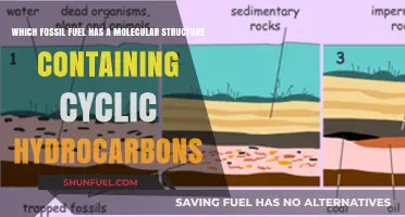 Cyclic Hydrocarbons: Identifying the Unique Fossil Fuel with Ring Structures