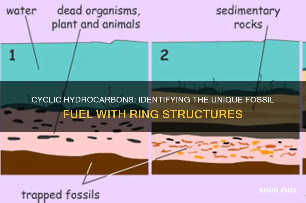 which fossil fuel has a molecular structure containing cyclic hydrocarbons