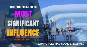 The Dominant Fossil Fuel: Shaping Energy, Economy, and Climate