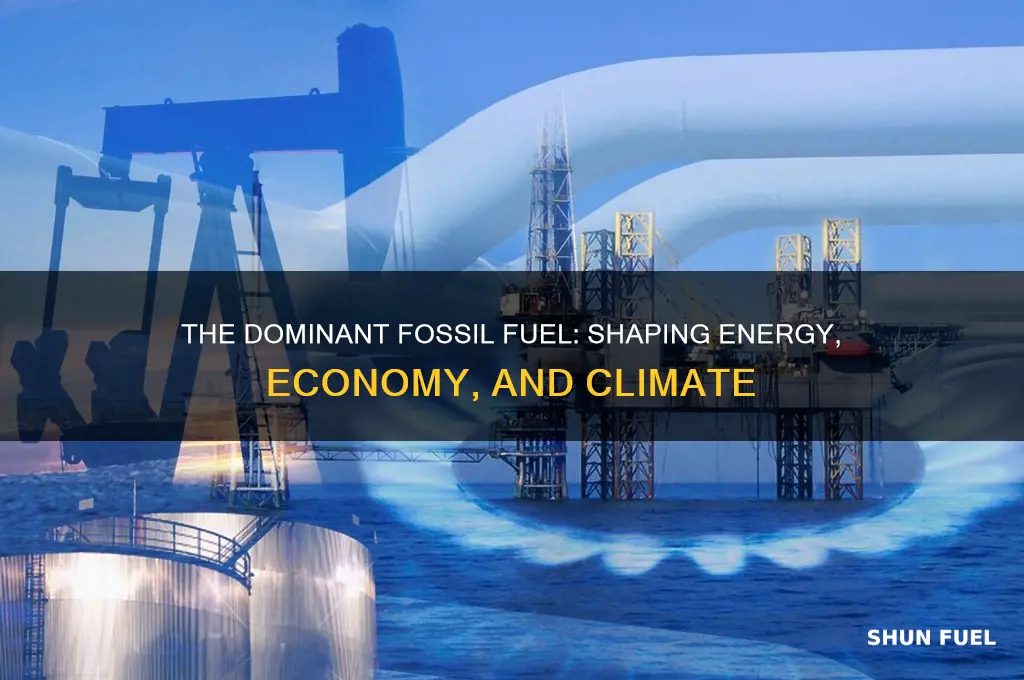 which fossil fuel has had the most significant influence