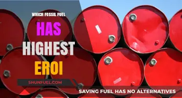Comparing Fossil Fuels: Which Energy Source Tops EROI Efficiency?