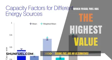 Comparing Fossil Fuels: Which Energy Source Holds the Highest Value?