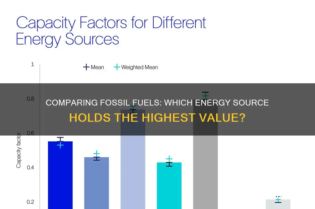 which fossil fuel has the highest value