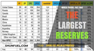 Global Fossil Fuel Reserves: Which Resource Dominates the Energy Landscape?