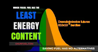 Comparing Fossil Fuels: Which One Offers the Lowest Energy Output?