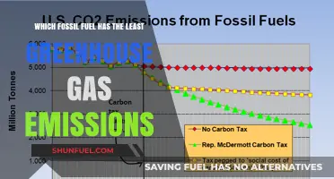 Comparing Fossil Fuels: Which One Produces Fewest Greenhouse Gas Emissions?