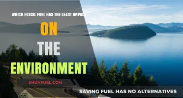 Comparing Fossil Fuels: Which Option Minimizes Environmental Impact?