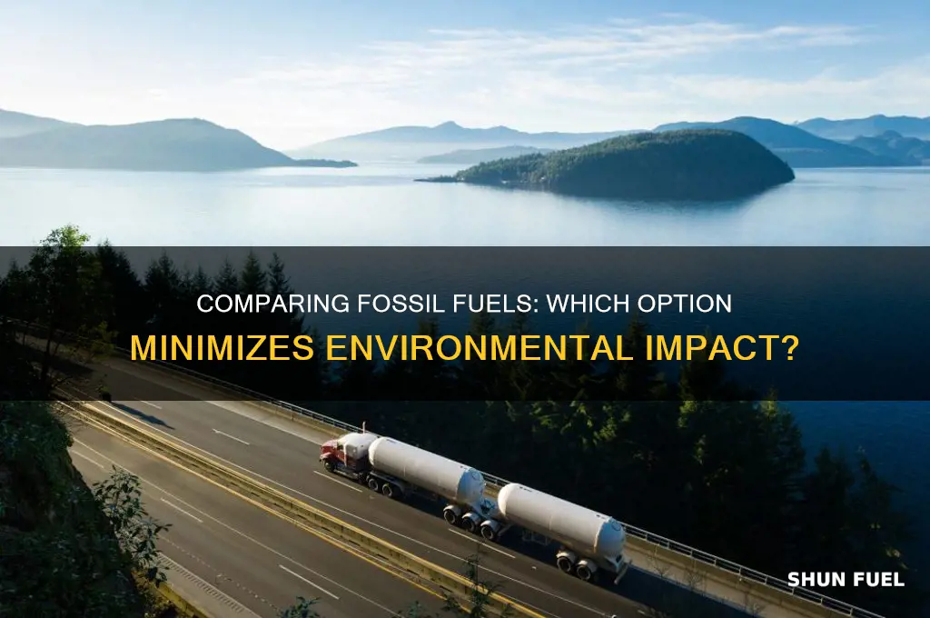 which fossil fuel has the least impact on the environment