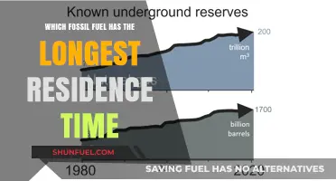Longest-Lasting Fossil Fuel: Unveiling the Residence Time Champion
