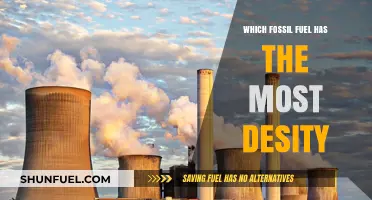 Comparing Fossil Fuels: Which One Boasts the Highest Energy Density?
